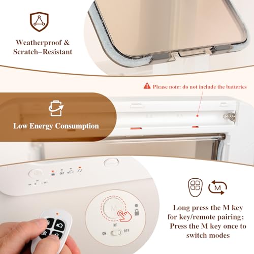 Smart Cat Door for Interior & Exterior