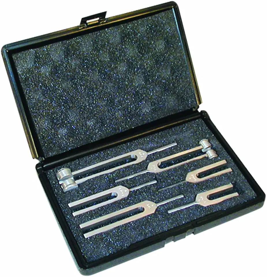 Tuning Forks W/CS 6CT - Kansas Nuitrition - HNZSDS