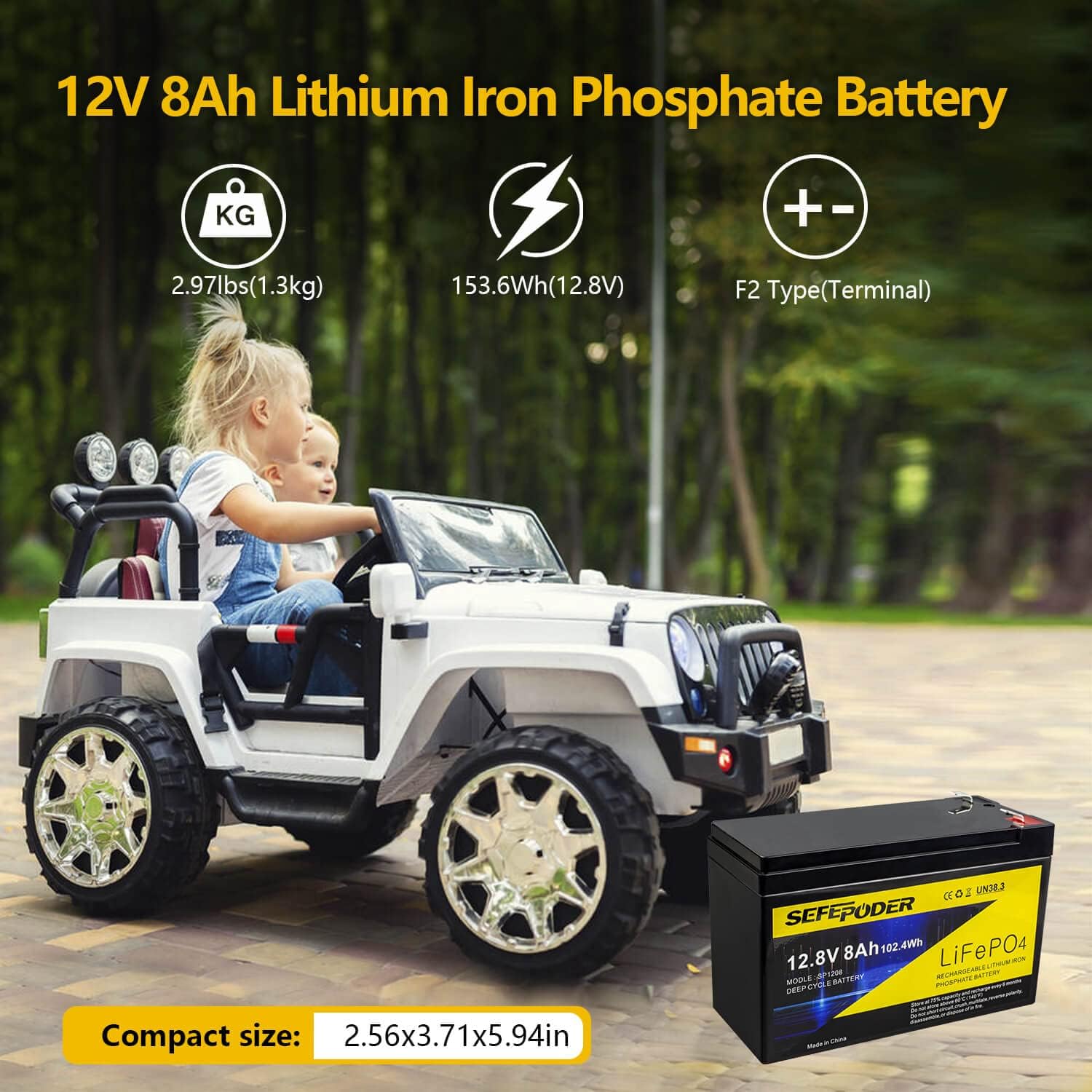 12V 12Ah LiFePO4 Lithium Ion Rechargeable Battery, 2000+ Deep Cycle Maintenance-Free Battery for Solar Power, UPS Backup, Lighting, Power Wheels