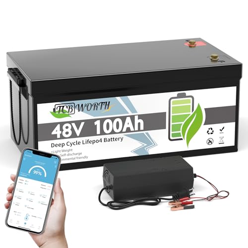 12V 100Ah LiFePO4 Battery, Rechargeabel Deep Cycle Lithium Batteries, 100A BMS with Low-Temp Protection, Perfect for RV, Solar, Boat, Marine