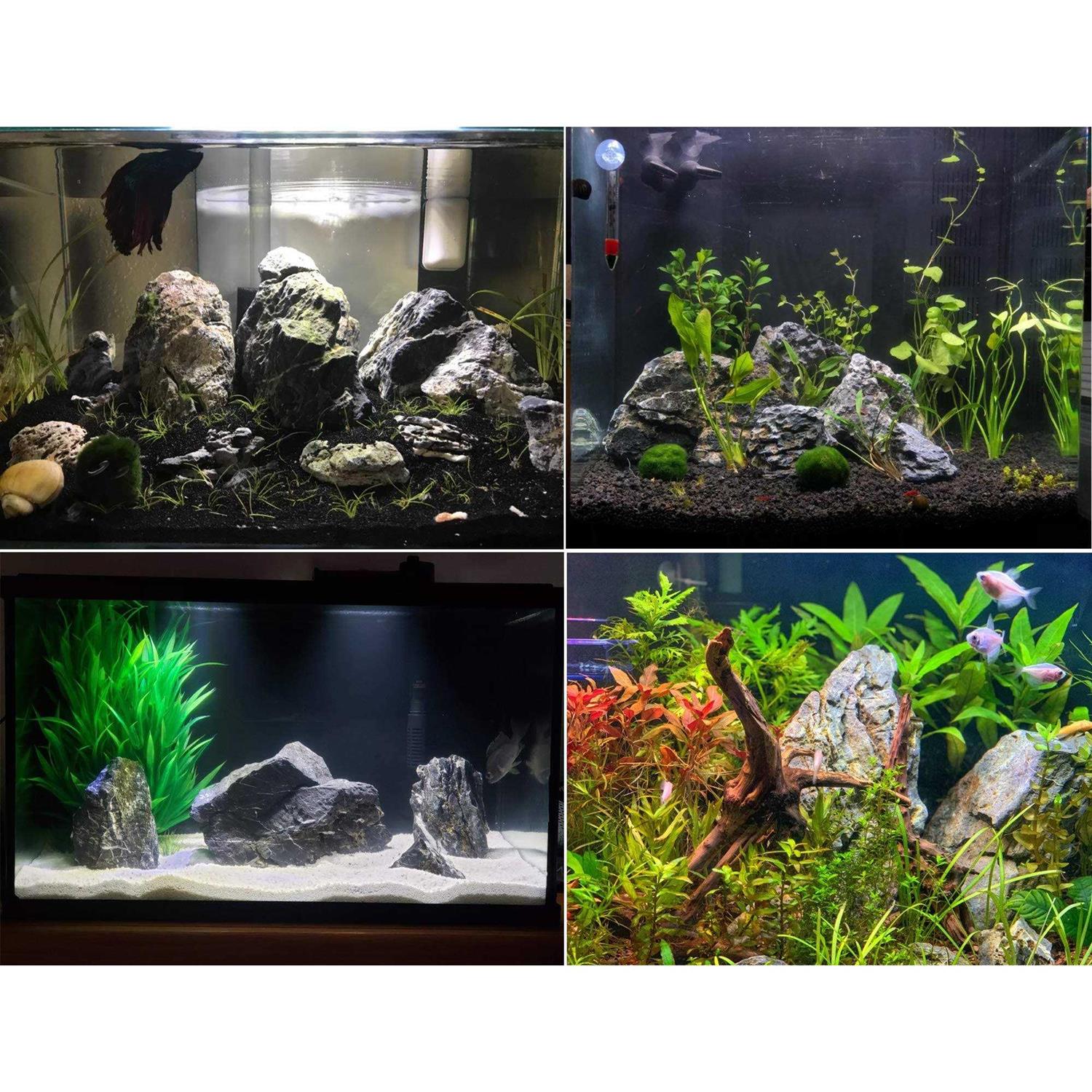 Voulosimi 44 lb Seiryu Rock Stone for Aquariums - Pet Supplies online store