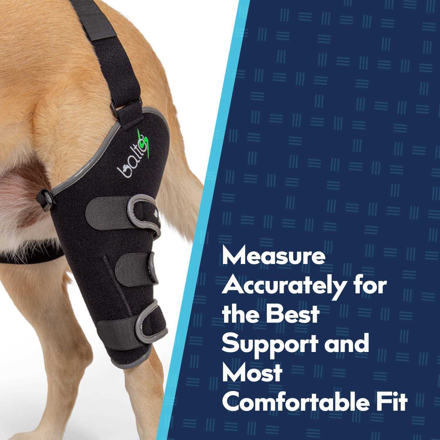 Balto Sport Agile CCL Brace Knee Support for Dogs Soft