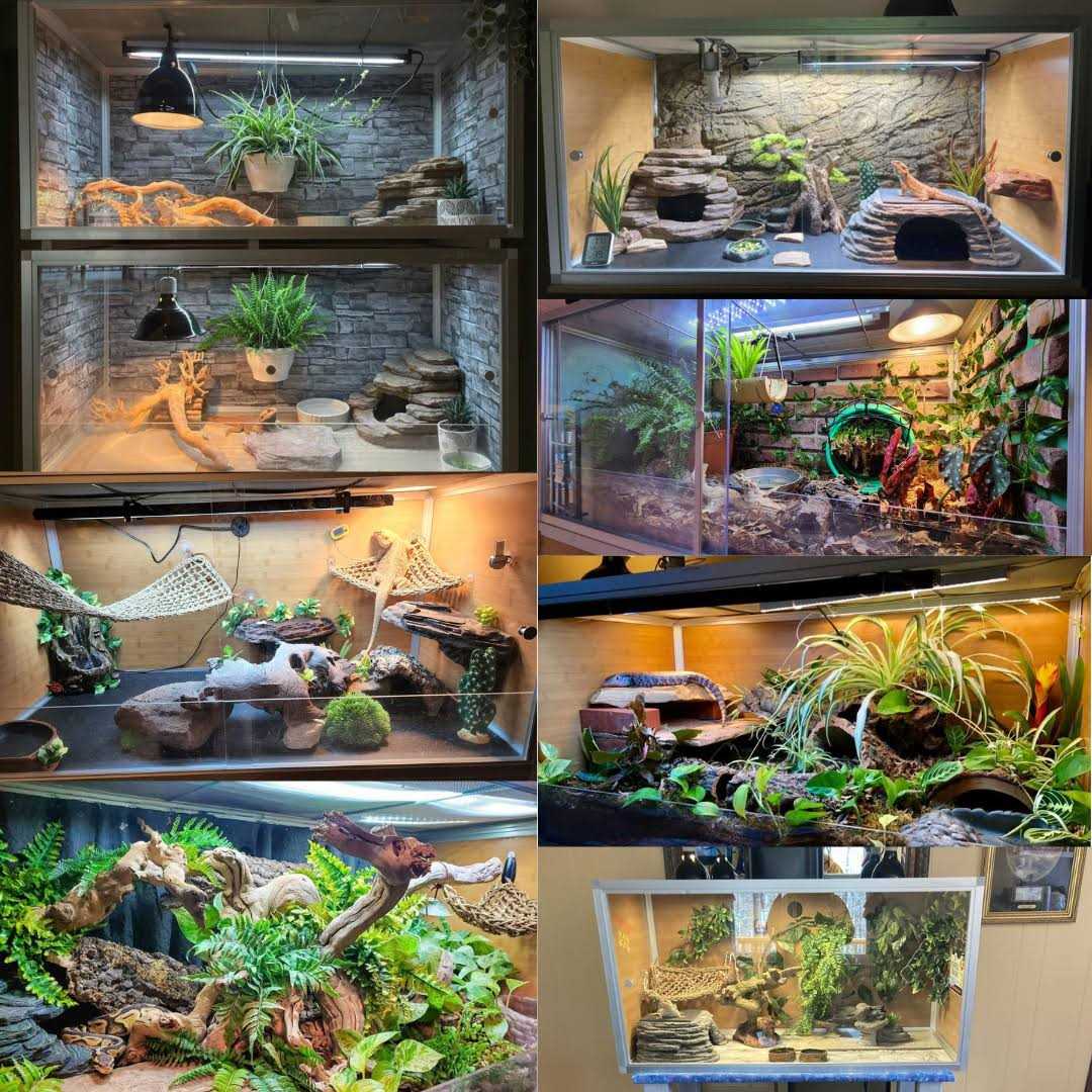 Zen Habitats 4'x2'x2' Original PVC Reptile Enclosure - Pet Supplies online store