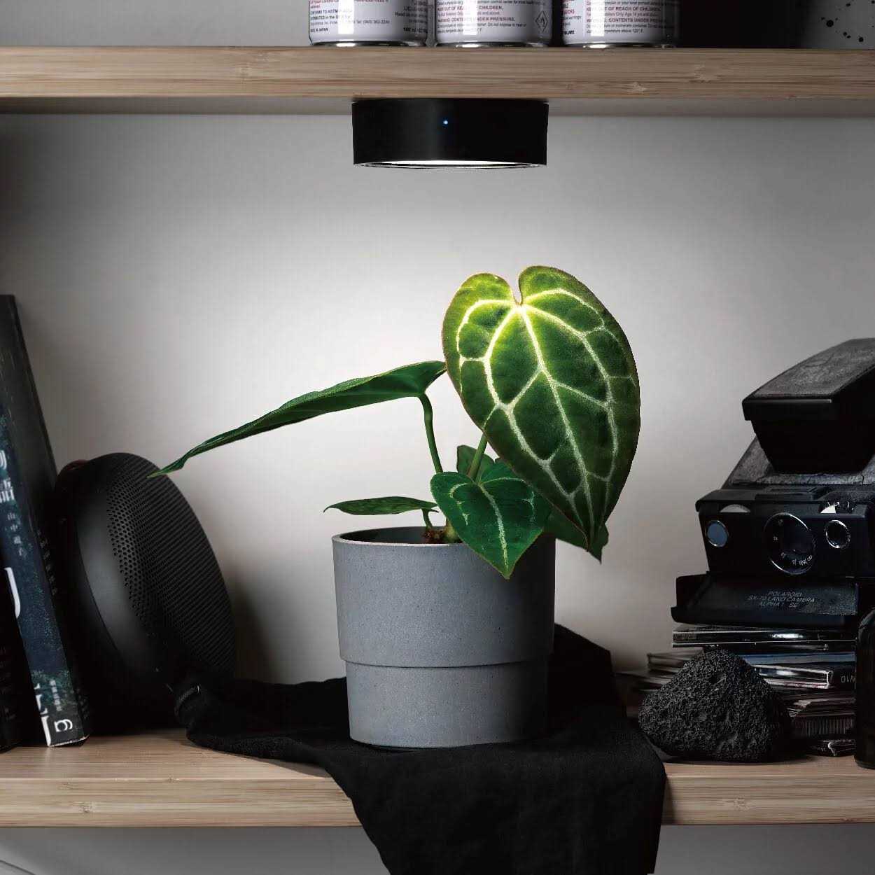 ONF Mist O Shelf Magnetic Light Colorfull LED for Indoor Plant Growth-Promoting - Pet Supplies online store