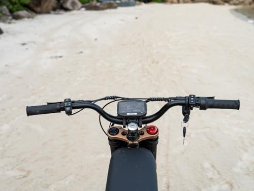 GT73 Electric Dirt Bike for Adults 2500W Electric Bike with 1747Wh(48V 18.2AH*2) Removable Batteries 37MPH/85Mile Range 25" x2" Motorcycle Tires Dual