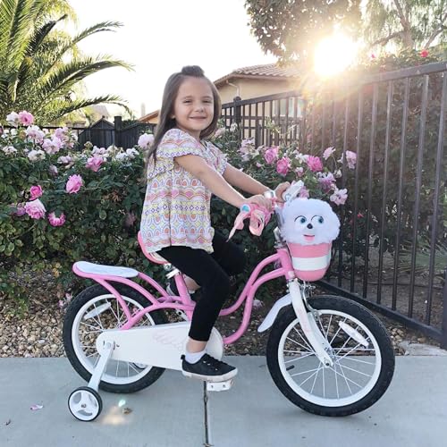 Royalbaby Princess Girls Kids Bike 12 14 16 18 20 Inch Children Bicycle with Basket for Age 3-12 Years