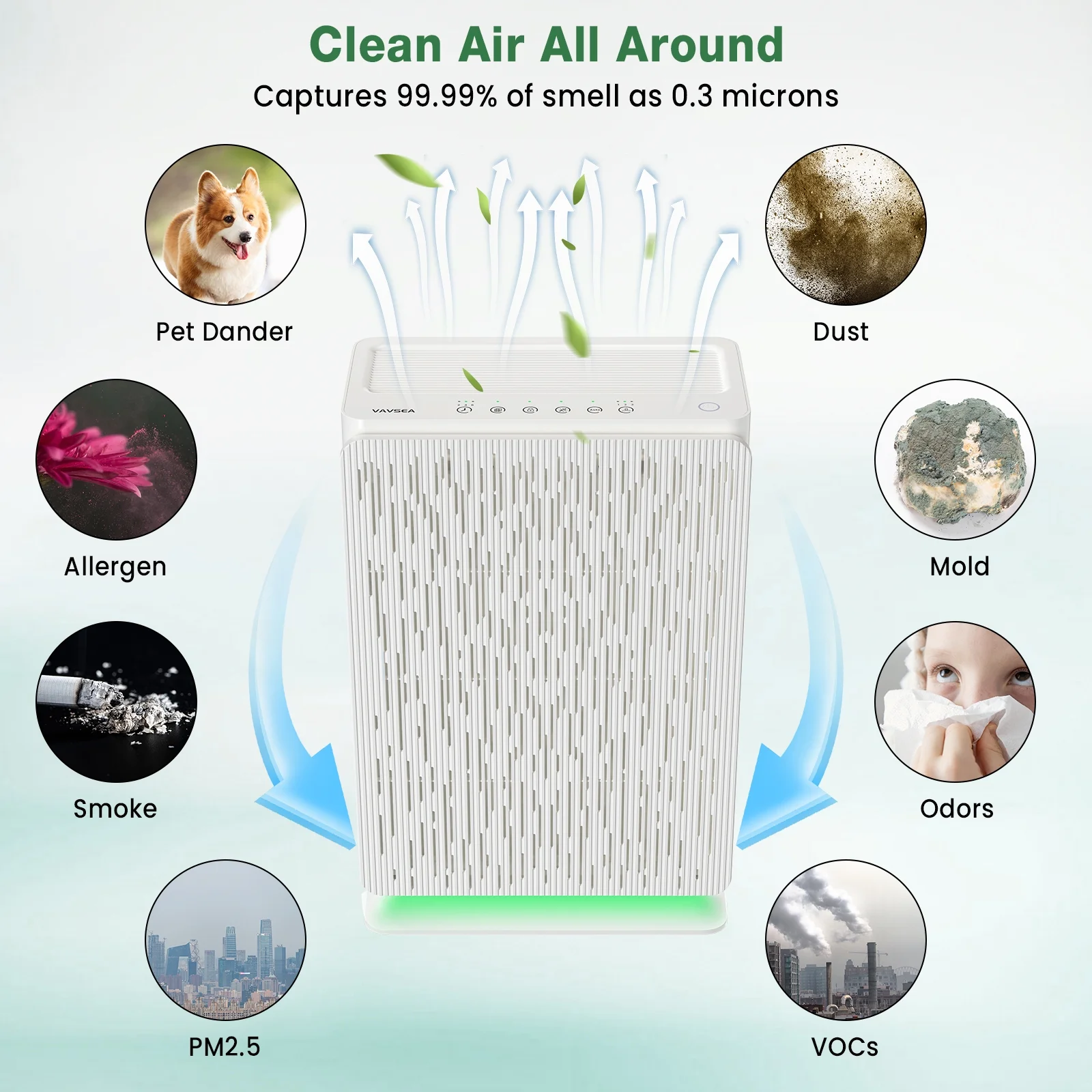 VAVSEA Air Purifier, H13 True HEPA Air Purifier Filter for Pets Hair, Pollen, Allergies, Dust, Smoke