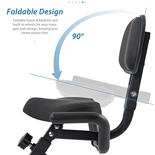 Workout Bike For Home - 2 In 1 Recumbent Exercise Bike and Upright Indoor Cycling Bike Positions, 10 Level Magnetic Resistance Exercise Bike