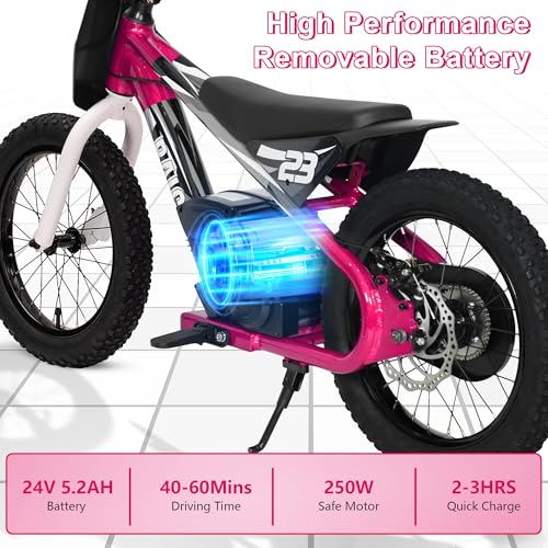 wanan Electric Dirt Bike for Kids 6-12 with Shock-Absorbing Front Fork, 250W Electric Motorcycle Up to 15.5MPH, 24V Detachable Battery, 16''