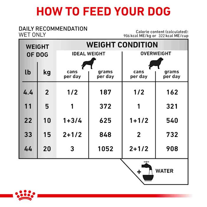 Royal Canin Veterinary Diet Urinary SO Thin Slices in Gravy Canned Dog Food - Pet Supplies online store