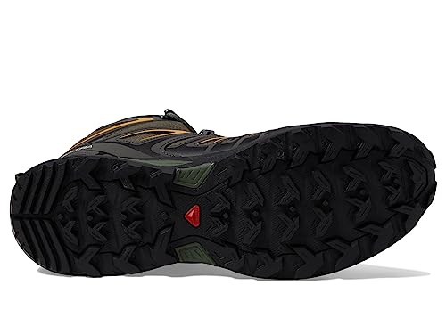 Salomon Men's X Ultra Pioneer Mid Climasalomon Waterproof Hiking Boot