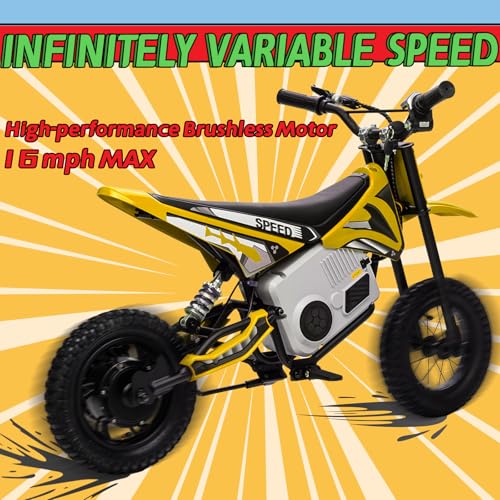 KerryYoo 36V 350W C11 Electric Dirt Bike for Kids 8-14, Up to 16MPH Off-Road Electric Motorcycle with Explosion-Proof Tires, Twist Grip Throttle