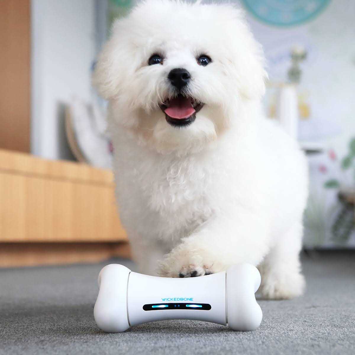 Cheerble Wickedbone 100% Automatic Interactive Toys for Dogs - Pet Supplies online store