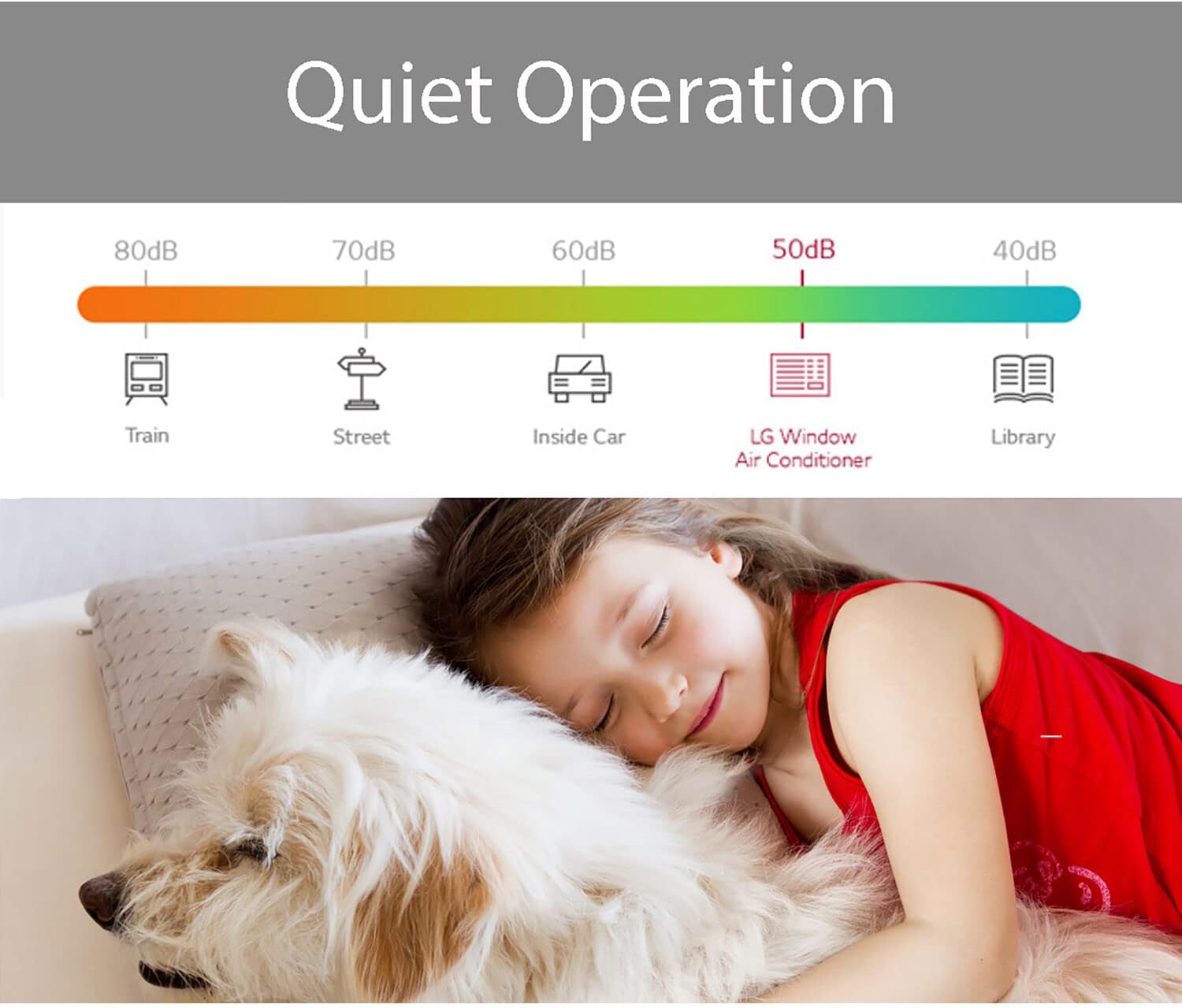 LG 23,000 BTU 230V Window-Mounted Air Conditioner with 9,200/11,200 BTU Supplemental Heat Function