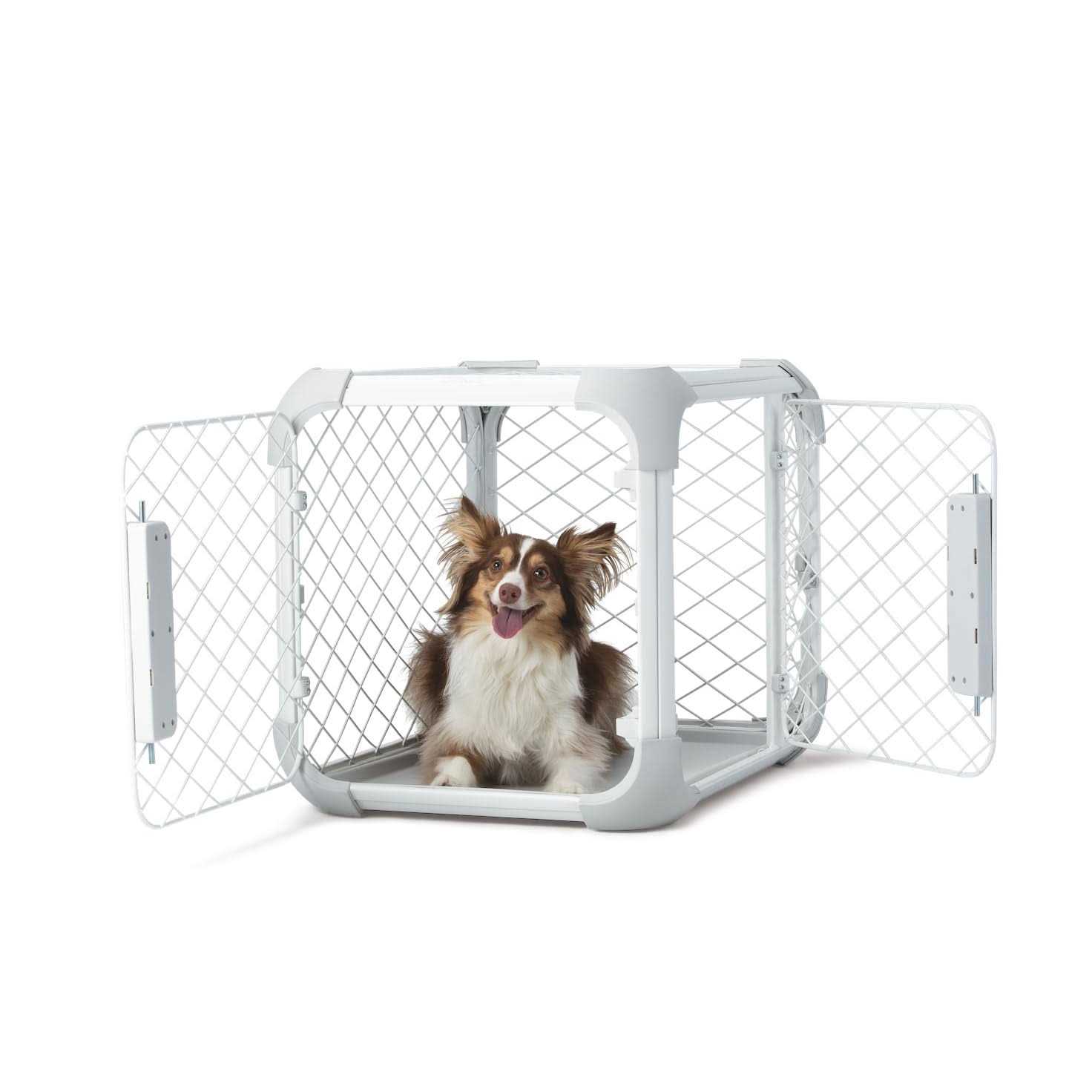 Diggs Evolv Dog Crate - Pet Supplies online store