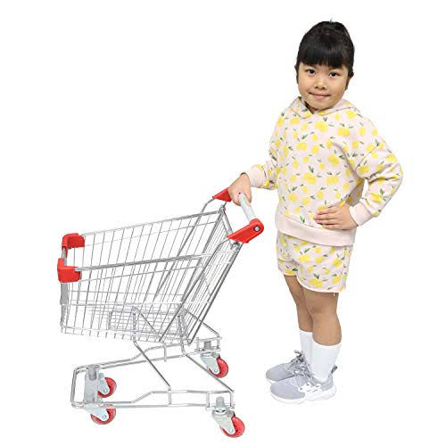 Emmzoe The Little Shopper Real Life Kids Mini Retail Grocery Shopping Cart Toy (Chrome frame)