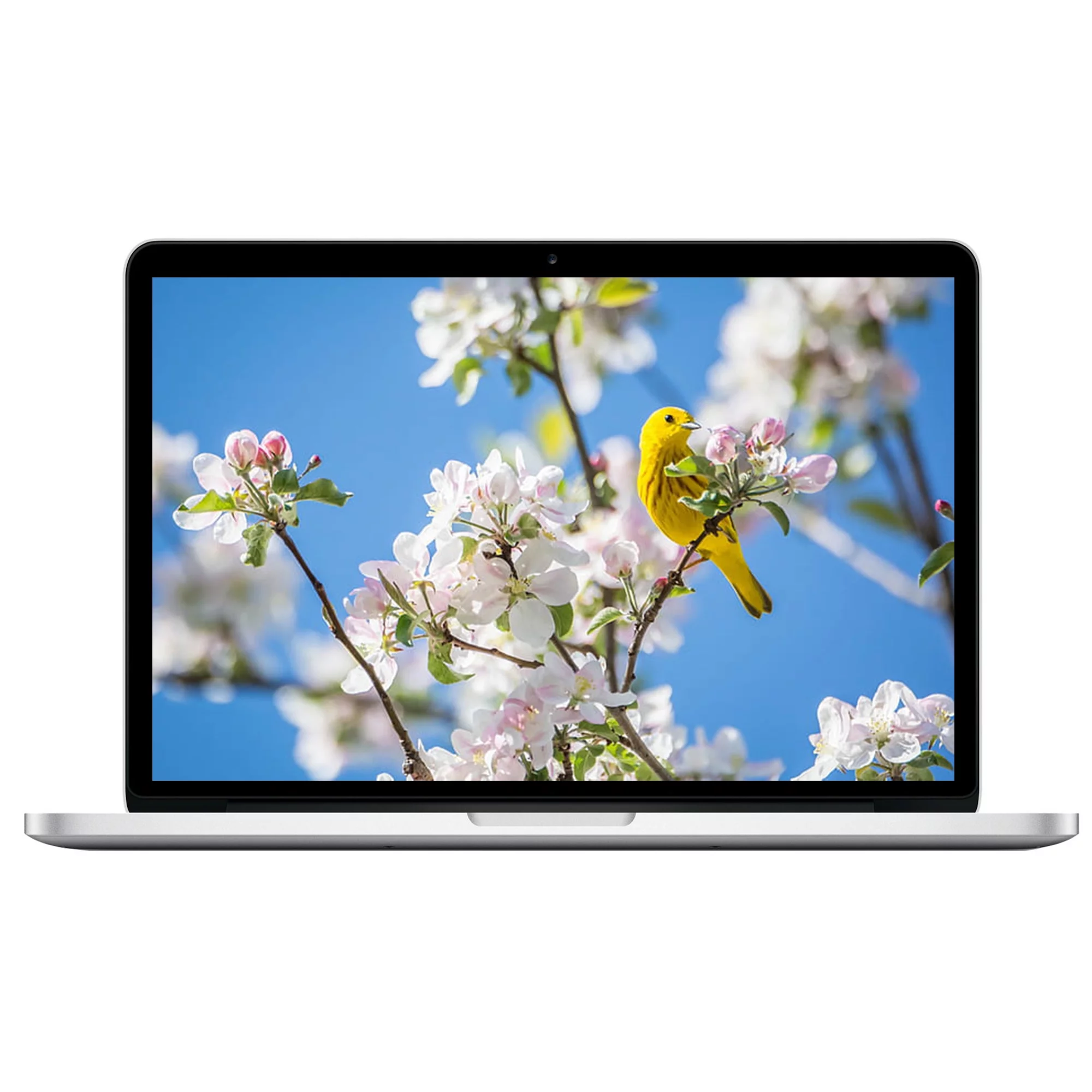 Restored Apple MacBook Pro 13.3-inch Intel Core i5 8GB RAM Mac OS 256GB Bundle: Black Case, Wireless Mouse