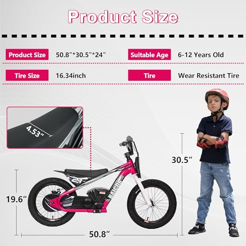 wanan Electric Dirt Bike for Kids 6-12 with Shock-Absorbing Front Fork, 250W Electric Motorcycle Up to 15.5MPH, 24V Detachable Battery, 16''