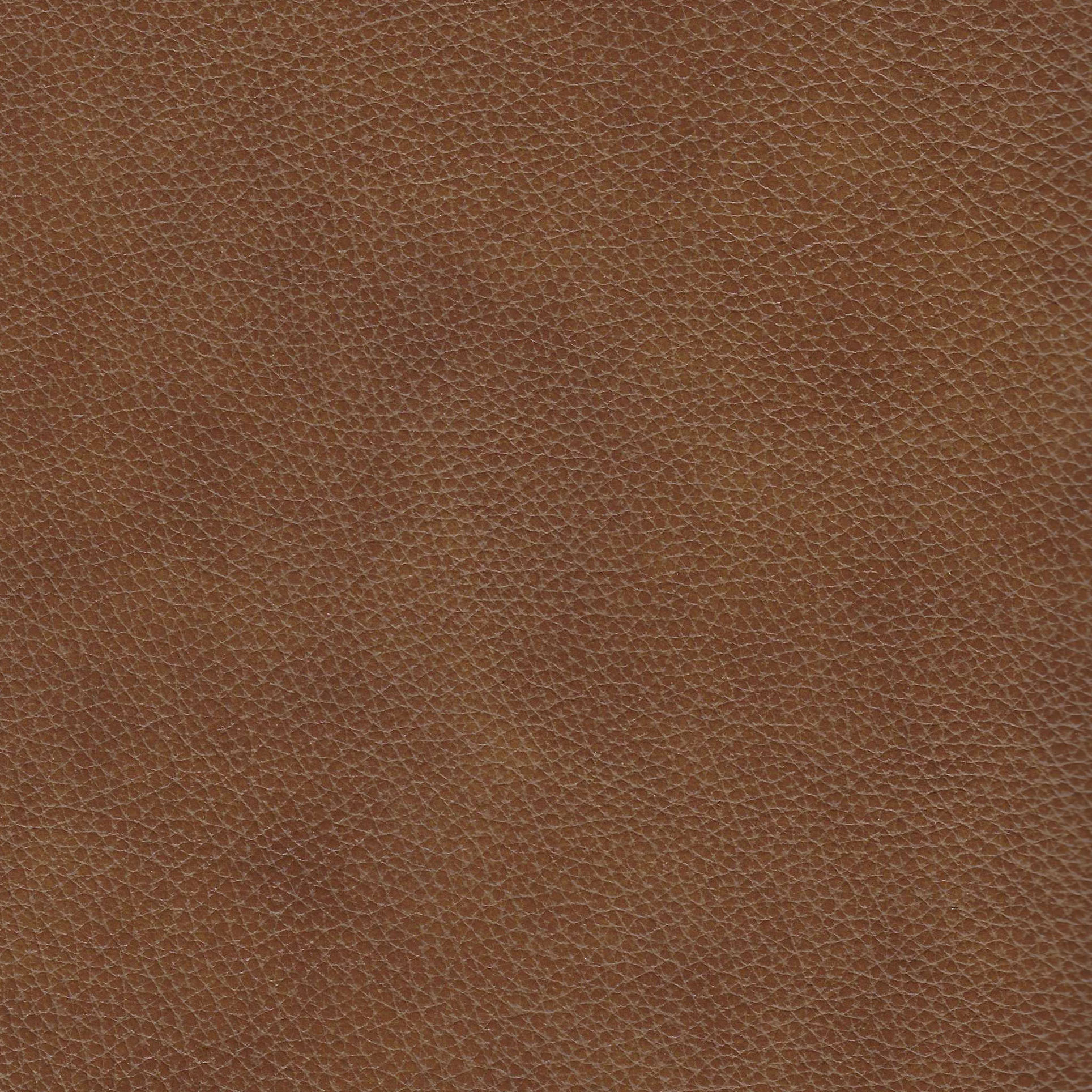 Devon & Claire Elliot Leather Power Reclining Armchair, Camel