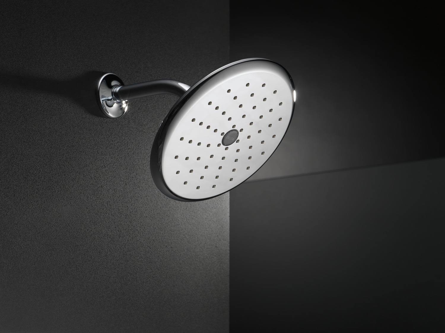 Delta RP52382PB Raincan Single-Setting Shower Head Polished Brass