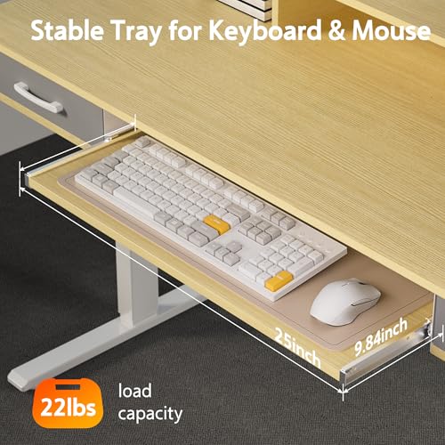 48x24 Inches Electric Standing Desk with 2 Drawers, Height Adjustable Stand up Desk for Home Office, Ergonomic Sit to Stand Table with Storage Shelf