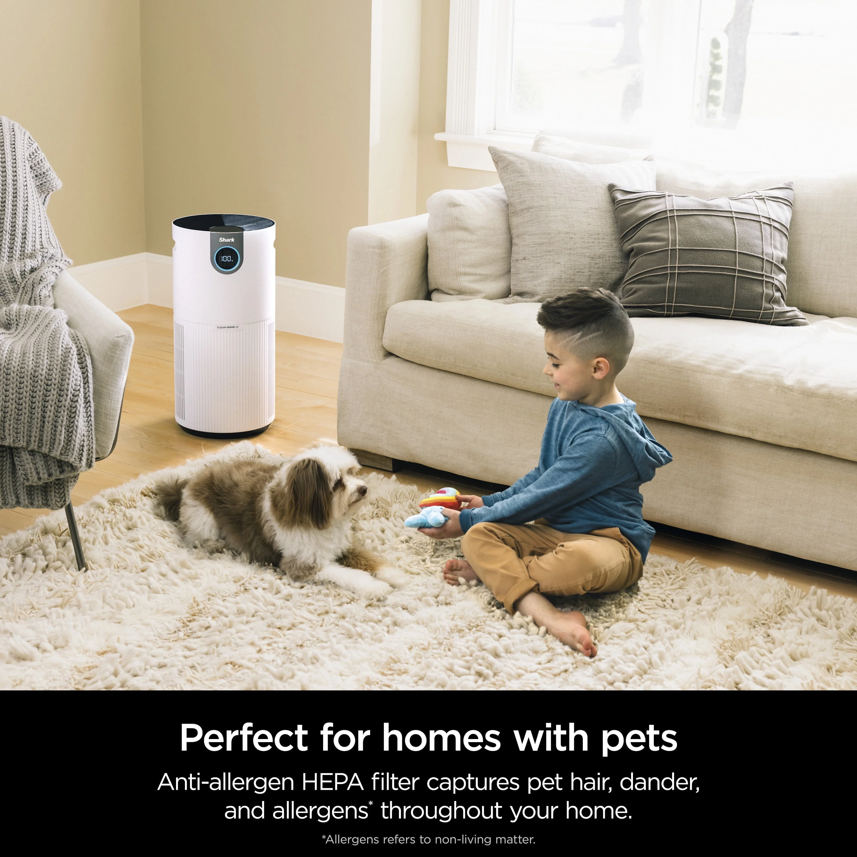 Shark Air Purifier with Nanoseal HEPA, Cleansense IQ, Odor Lock, Cleans up to 500 Sq. Ft, Charcoal Grey, HP100