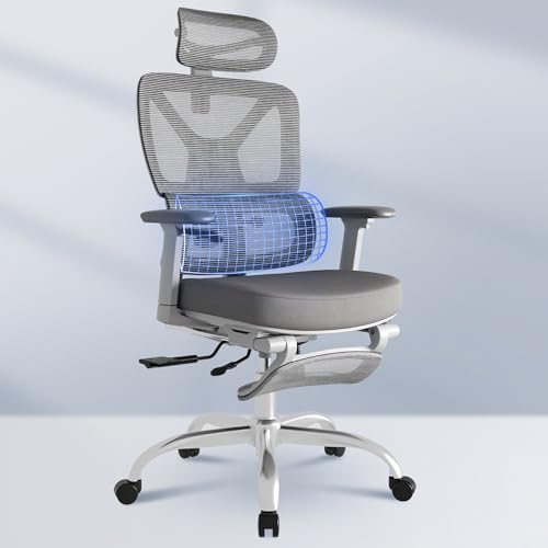 FLEXISPOT ErgoX Premium Ergonomic Office Chair with Footrest- Adjustable 3D Armrests, Dynamic Lumbar Support, Recline & Tilt Function, Mesh Seat