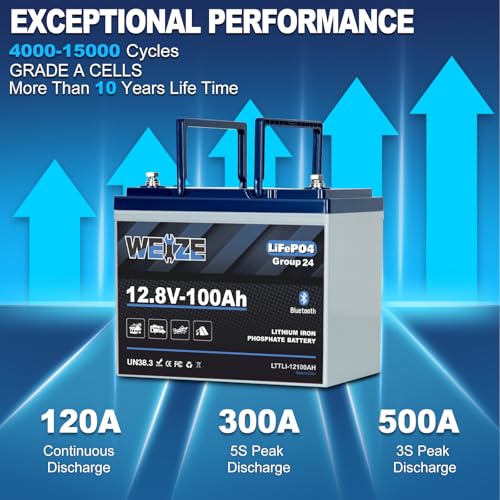 Weize 12V 100Ah TM Bluetooth LiFePO4 Lithium Battery, Built-in 120A BMS