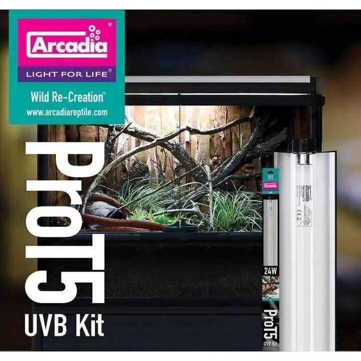 Arcadia Reptile Pro T5 Forest 6% UVB 24 inch Lighting Kit for Reptiles - Pet Supplies online store
