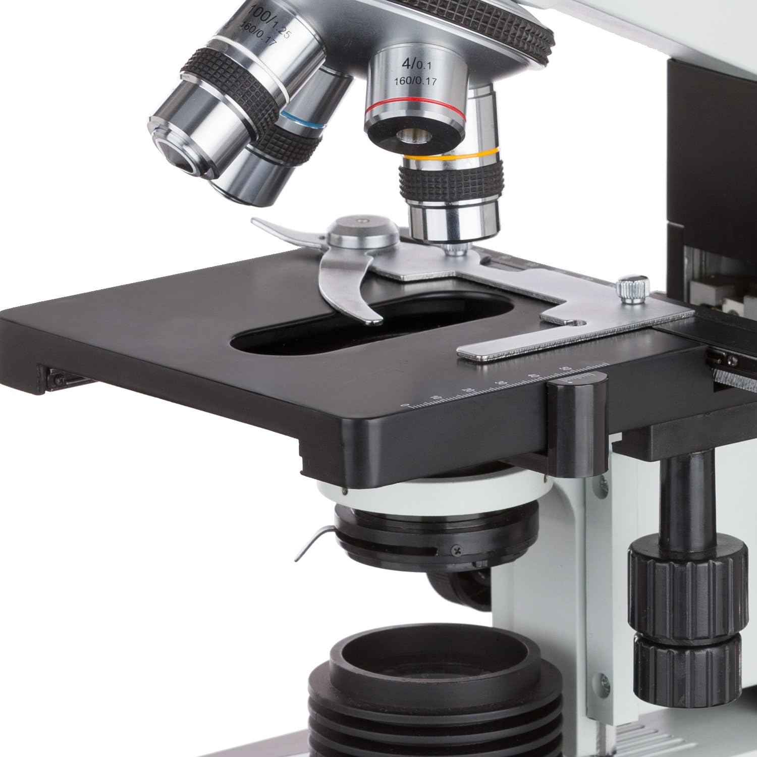 AmScope T490B Compound Trinocular Microscope, 40X-2000X Magnification, Halogen Light, Abbe Condenser, 2-Layer Mechanical Stage