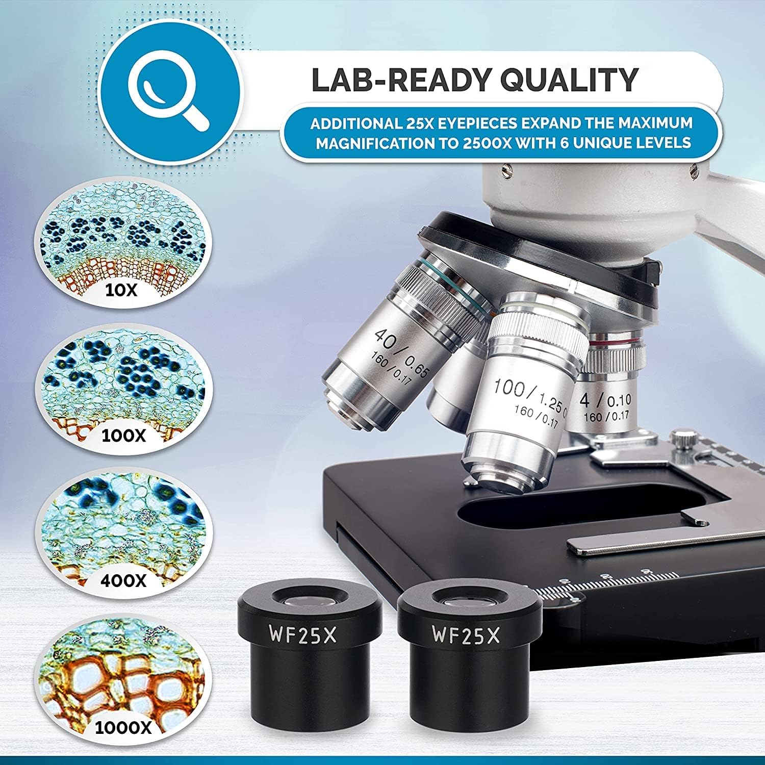 AmScope B120C-E1 Siedentopf Binocular Compound Microscope, 40X-2500X Magnification, LED Illumination, Abbe Condenser, Two-Layer Mechanical Stage