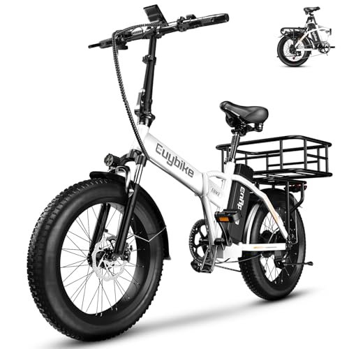 1000W Folding Electric Bike,48V 20AH Removable Battery E Bike,30+MPH,80 Miles Max Range Electric Bike for Adults,20" Fat Tire Foldable ebike