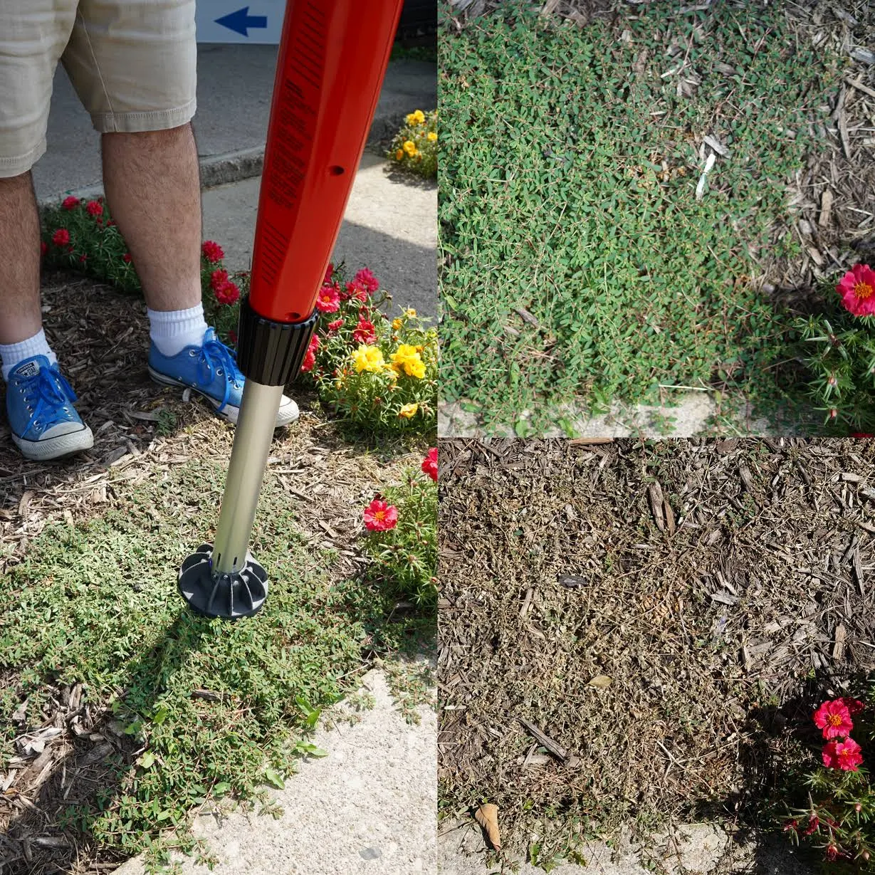 WeedErase Chemical-Free Weed Killer