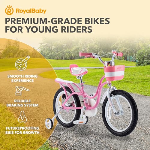 Royalbaby Princess Girls Kids Bike 12 14 16 18 20 Inch Children Bicycle with Basket for Age 3-12 Years