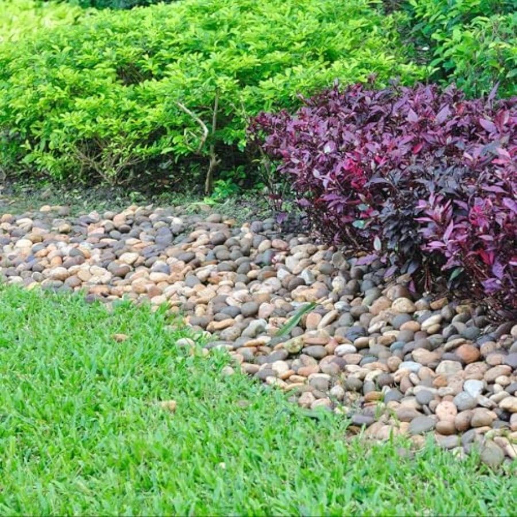 40 lbs River Rocks for Landscaping 2-3 Decorative Garden Stones for Plants Flower Pots Vase Walkways Yard Natural Rocks for Aquarium Fish Tank
