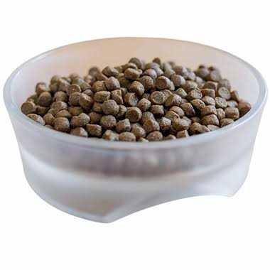 Dr. Tim's Pursuit Active Dry Dog Food - Pet Supplies online store