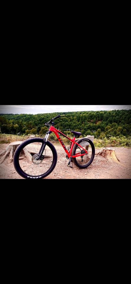 Trek roscoe 6