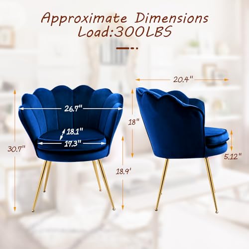 Velvet Accent Chairs Set of 2 for Living Room, Mid Century Modern Arm Chair, Comfy Vanity Chair for Makeup Room