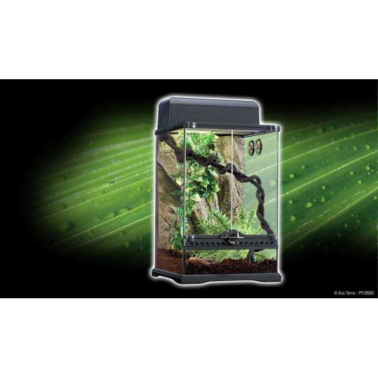 Exo Terra Rainforest Habitat Kit - Pet Supplies online store
