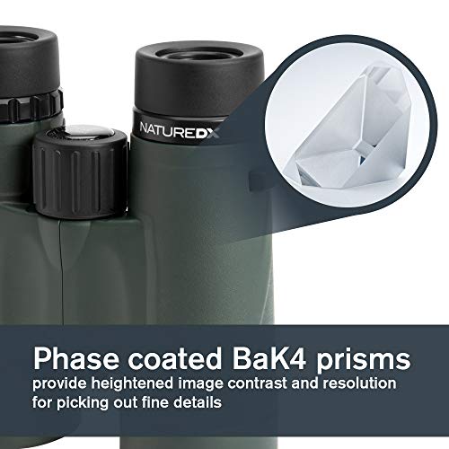 Celestron – Nature DX 8x42 Binoculars – Outdoor and Birding Binocular – Fully Multi-Coated with BaK-4 Prisms – Rubber Armored – Fog & Waterproof
