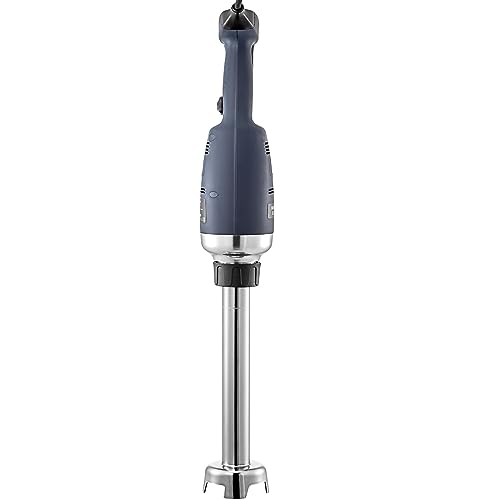 VEVOR Commercial Immersion Blender 350W Power, Hand Held Mixer with 9.8-Inch 304 Stainless Steel Removable Shaft