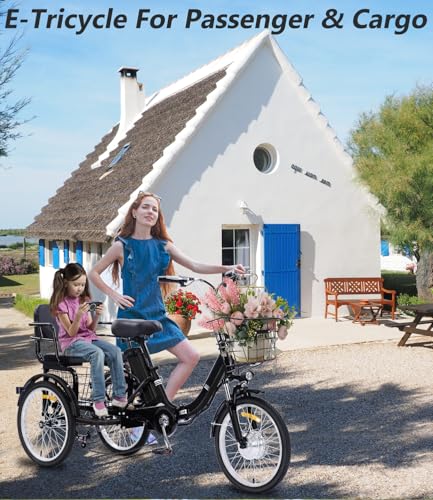 Adult Electric Tricycle Adult Tricycle 3 Wheel Bikes Adults Electric Three Wheel Bike - Radiant Selections
