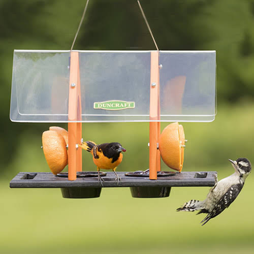 Duncraft Super Sized Oriole Feeder