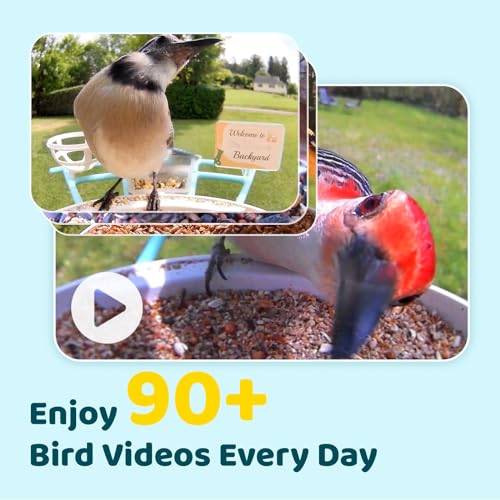 NETVUE Birdfy® Pro Bird Feeder with Camera, Wider Perch DIY Add-ons, Hummingbird Feeder, Suet Ball, Jelly Feeder