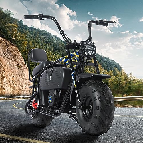Oryxearth Electric Mini Dirt Bike, 36V Battery 1000W Motor Electrical Powered Motorcycle for Kids, 2 Speeds-15.5MPH/22 MPH, 2 Hanging Bags