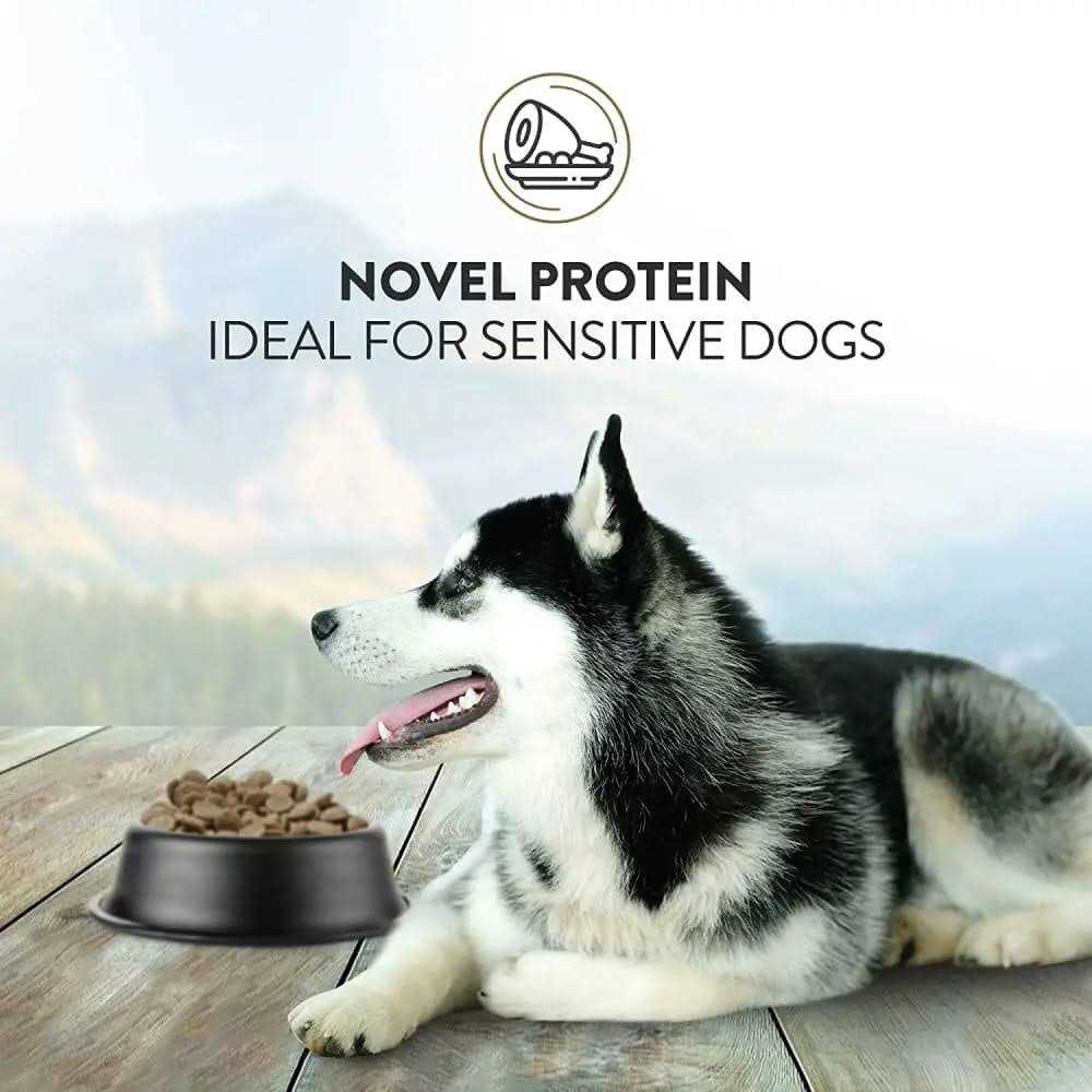 Addiction Viva La Venison Dry Dog Food - Pet Supplies online store