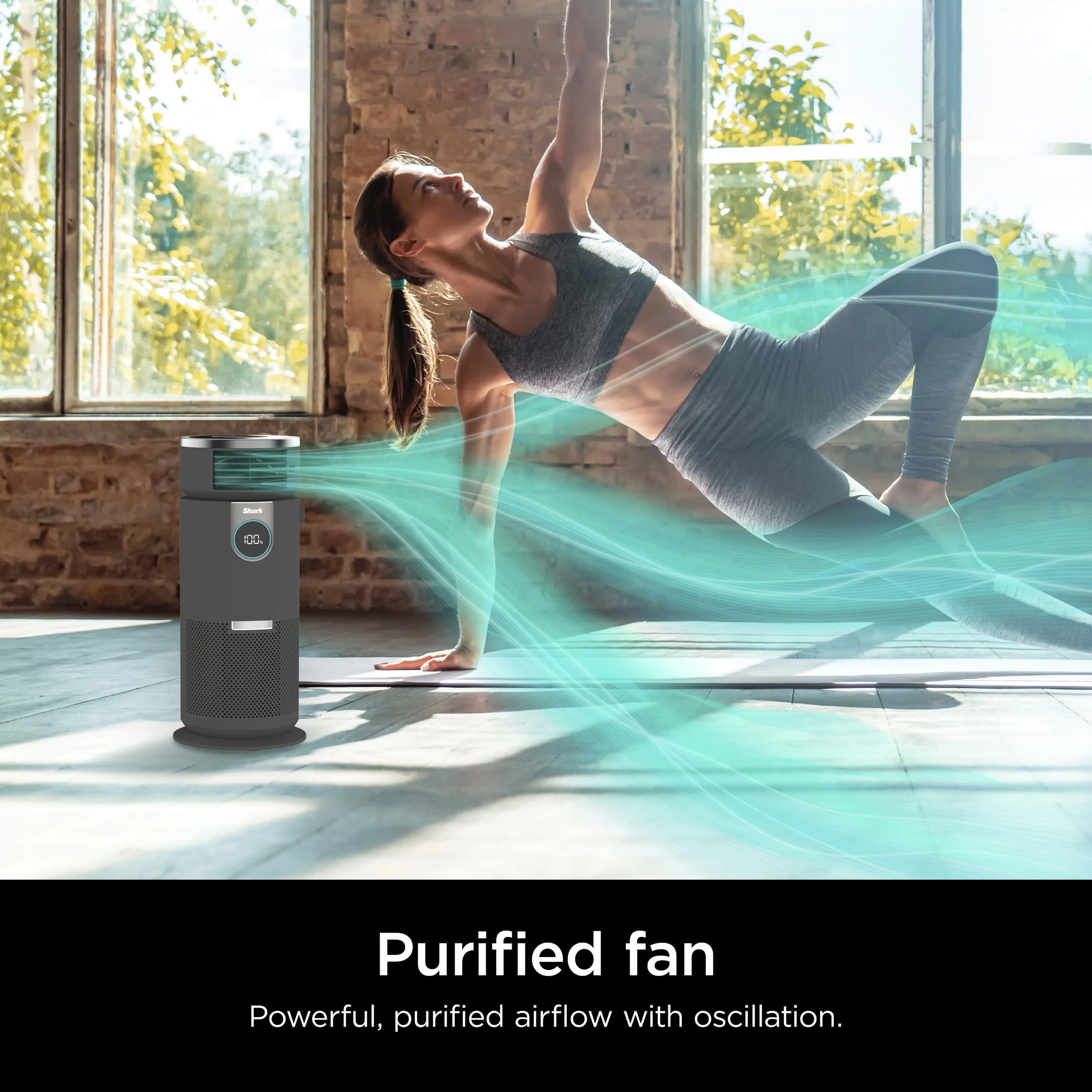 Shark Air Purifier with Nanoseal HEPA, Cleansense IQ, Odor Lock, Cleans up to 500 Sq. Ft, Charcoal Grey, HP100
