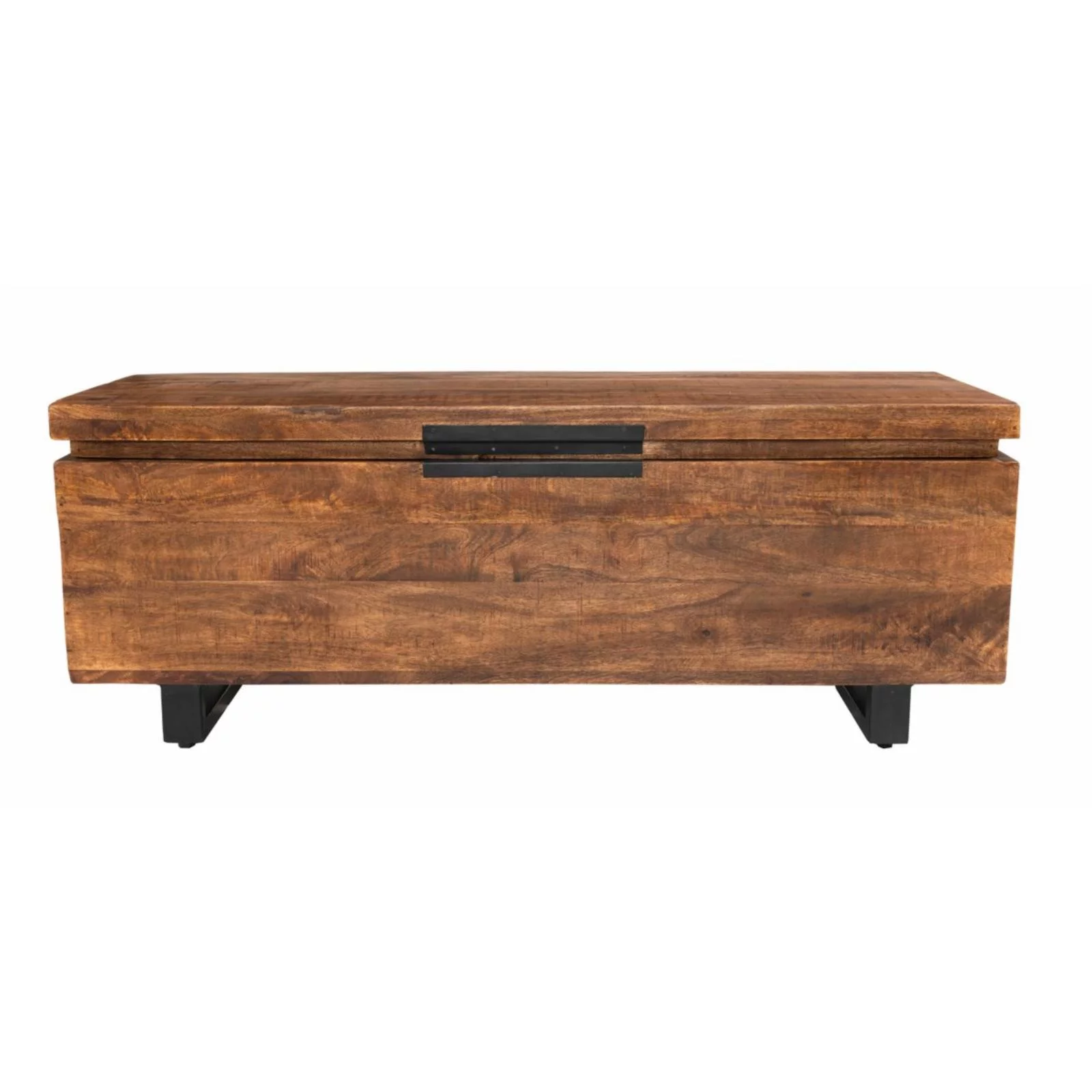 Kosas Home Zoe Storage Trunk
