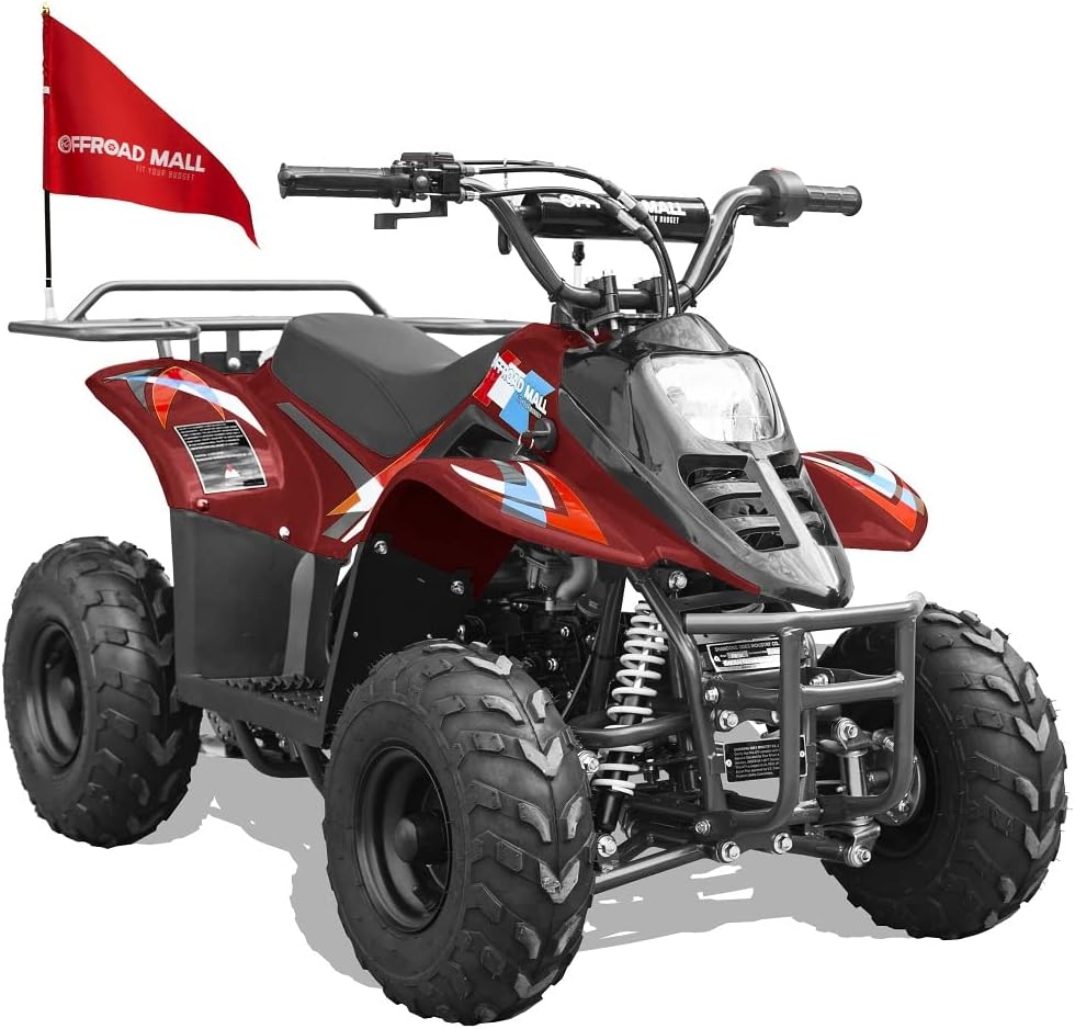 Offroad Mall REX 110cc Dirt Quad 4-Wheeler Gas Powered ATV for Kids, Remote Electric Start/Kill Switch, EPA & CARB Approved