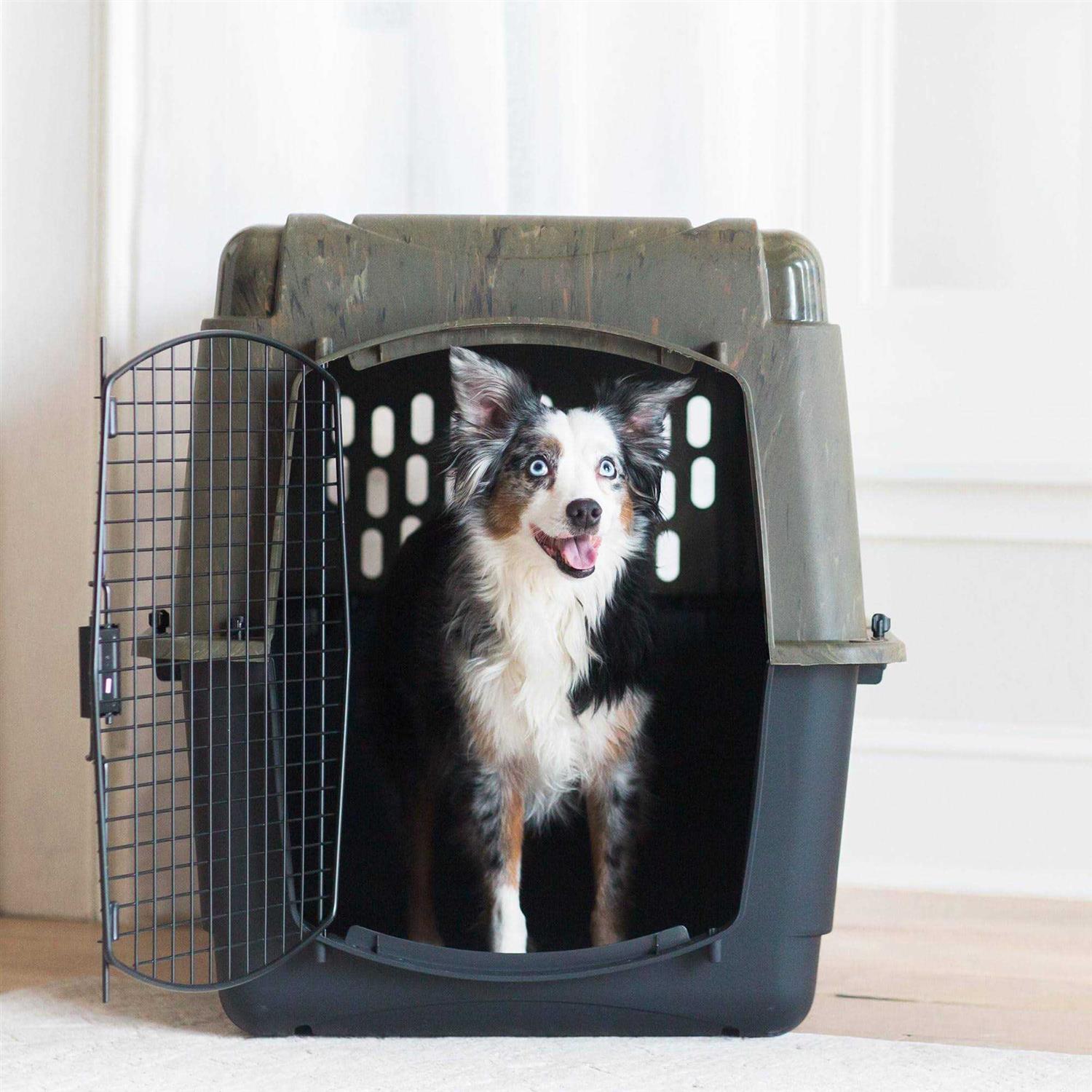 Ruff Maxx Kennel - Pet Supplies online store